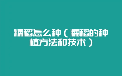 糯稻怎么种（糯稻的种植方法和技术）-会东网