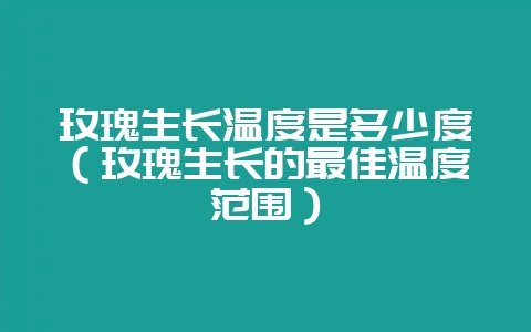 玫瑰生长温度是多少度（玫瑰生长的最佳温度范围）-会东网