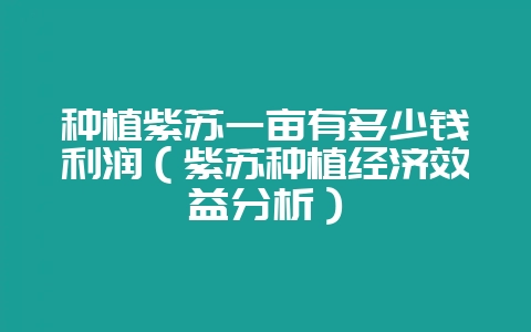 种植紫苏一亩有多少钱利润（紫苏种植经济效益分析）-会东网
