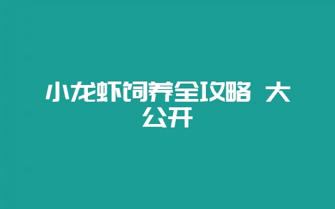小龙虾饲养全攻略 大公开插图 小龙虾饲养全攻略 大公开插图