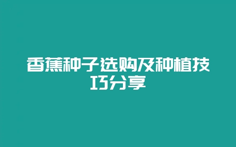 香蕉种子选购及种植技巧分享-会东网