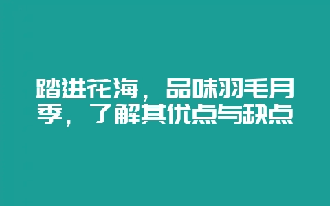 踏进花海，品味羽毛月季，了解其优点与缺点-会东网