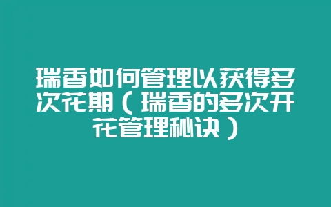 瑞香如何管理以获得多次花期（瑞香的多次开花管理秘诀）-会东网