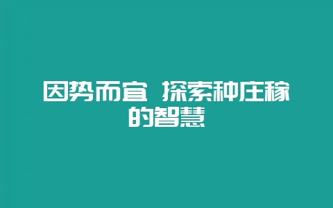 因势而宜 探索种庄稼的智慧-会东网
