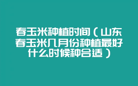 春玉米种植时间（山东春玉米几月份种植最好什么时候种合适）-会东网