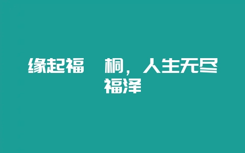 缘起福禄桐，人生无尽福泽-会东网