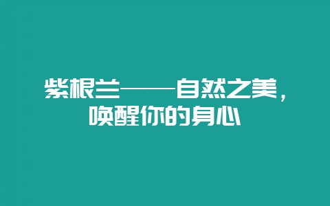 紫根兰——自然之美，唤醒你的身心-会东网