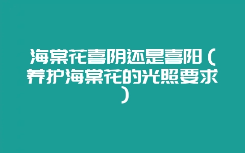 海棠花喜阴还是喜阳(养护海棠花的光照要求)插图 海棠花喜阴还是喜阳(养护海棠花的光照要求)插图