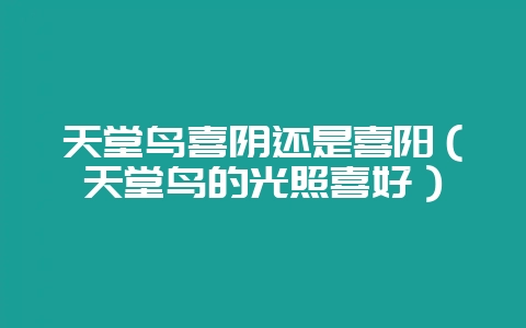 天堂鸟喜阴还是喜阳（天堂鸟的光照喜好）-会东网