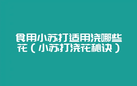 食用小苏打适用浇哪些花（小苏打浇花秘诀）-会东网