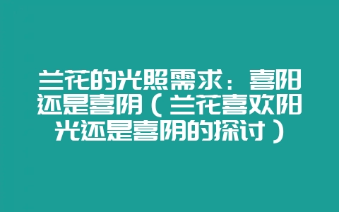 兰花的光照需求：喜阳还是喜阴（兰花喜欢阳光还是喜阴的探讨）-会东网