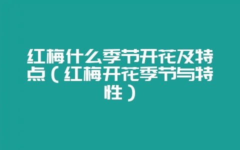 红梅什么季节开花及特点（红梅开花季节与特性）-会东网
