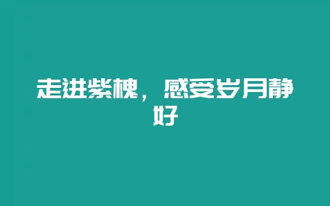 走进紫槐，感受岁月静好-会东网
