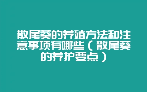 散尾葵的养殖方法和注意事项有哪些（散尾葵的养护要点）-会东网