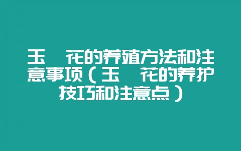 玉簪花的养殖方法和注意事项（玉簪花的养护技巧和注意点）-会东网