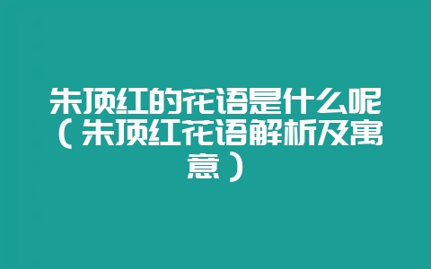 朱顶红的花语是什么呢（朱顶红花语解析及寓意）-会东网