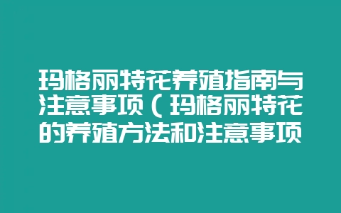玛格丽特花养殖指南与注意事项（玛格丽特花的养殖方法和注意事项）-会东网