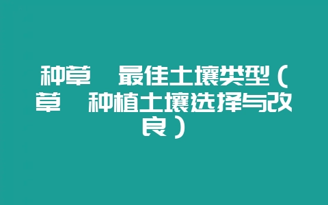 种草莓最佳土壤类型（草莓种植土壤选择与改良）-会东网
