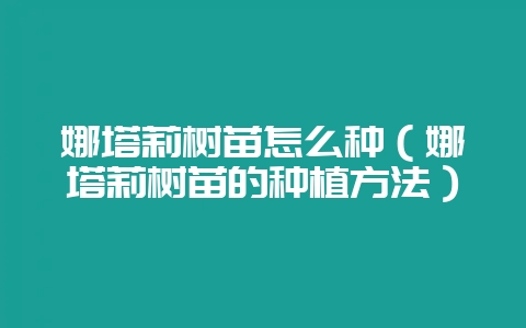娜塔莉树苗怎么种（娜塔莉树苗的种植方法）-会东网
