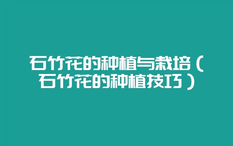 石竹花的种植与栽培(石竹花的种植技巧)插图 石竹花的种植与栽培(石竹花的种植技巧)插图