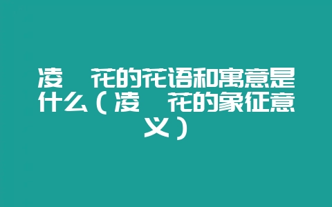凌霄花的花语和寓意是什么（凌霄花的象征意义）-会东网