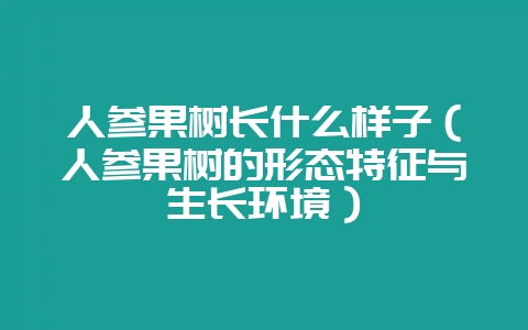 人参果树长什么样子（人参果树的形态特征与生长环境）-会东网