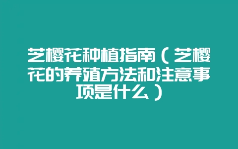 芝樱花种植指南（芝樱花的养殖方法和注意事项是什么）-会东网