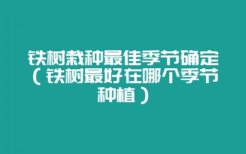 铁树栽种最佳季节确定(铁树最好在哪个季节种植)插图 铁树栽种最佳季节确定(铁树最好在哪个季节种植)插图