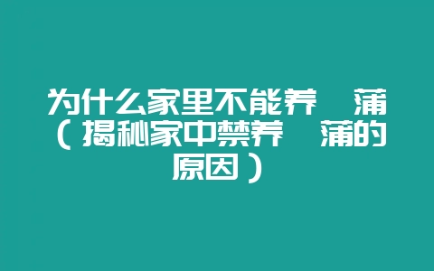 为什么家里不能养菖蒲（揭秘家中禁养菖蒲的原因）-会东网