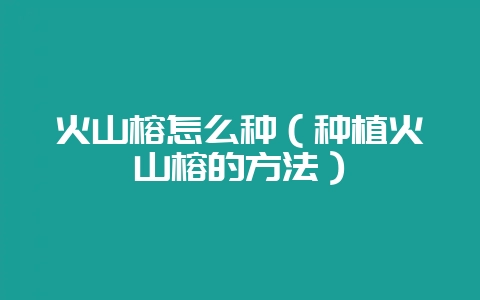 火山榕怎么种（种植火山榕的方法）-会东网
