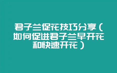 君子兰促花技巧分享(如何促进君子兰早开花和快速开花)插图 君子兰促花技巧分享(如何促进君子兰早开花和快速开花)插图