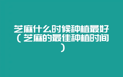 芝麻什么时候种植最好（芝麻的最佳种植时间）-会东网