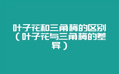 叶子花和三角梅的区别（叶子花与三角梅的差异）-会东网