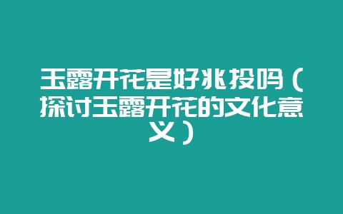 玉露开花是好兆头吗（探讨玉露开花的文化意义）-会东网