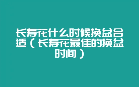 长寿花什么时候换盆合适（长寿花最佳的换盆时间）-会东网