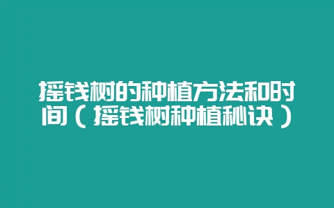 摇钱树的种植方法和时间(摇钱树种植秘诀)插图 摇钱树的种植方法和时间(摇钱树种植秘诀)插图