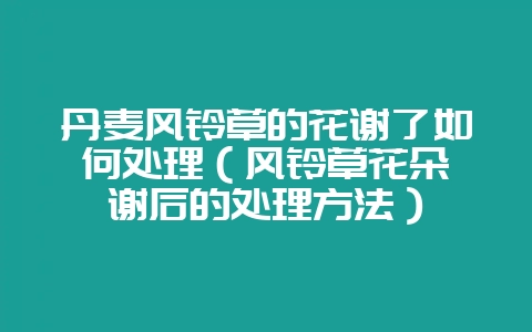 丹麦风铃草的花谢了如何处理(风铃草花朵凋谢后的处理方法)-会东网