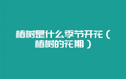 椿树是什么季节开花（椿树的花期）-会东网
