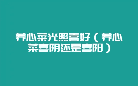 养心菜光照喜好（养心菜喜阴还是喜阳）-会东网