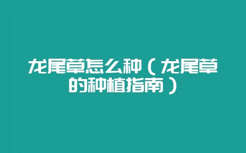 龙尾草怎么种（龙尾草的种植指南）-会东网