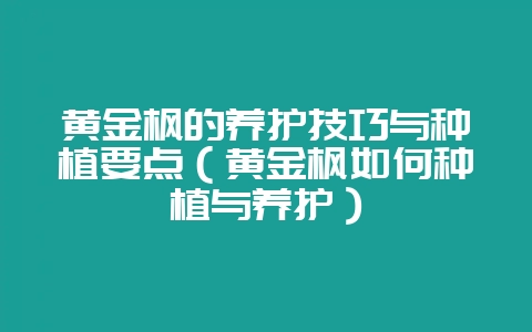 黄金枫的养护技巧与种植要点(黄金枫如何种植与养护)-会东网