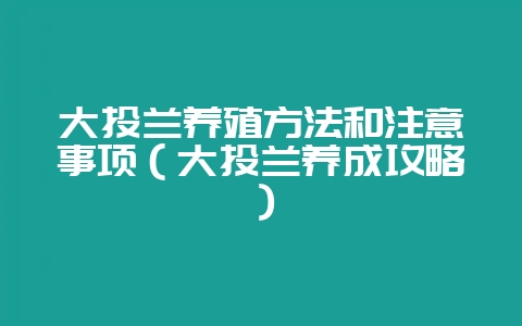 大头兰养殖方法和注意事项(大头兰养成攻略)插图 大头兰养殖方法和注意事项(大头兰养成攻略)插图