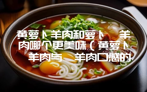 黄萝卜羊肉和萝卜煲羊肉哪个更美味（黄萝卜炖羊肉与煲羊肉口感的-会东网