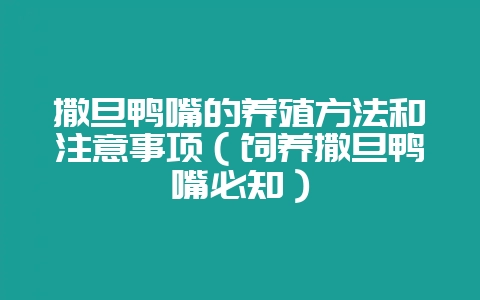 撒旦鸭嘴的养殖方法和注意事项（饲养撒旦鸭嘴必知）-会东网