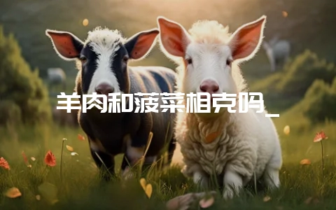 羊肉和菠菜相克吗_-会东网