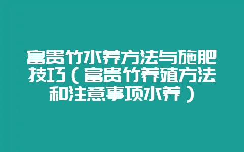 富贵竹水养方法与施肥技巧（富贵竹养殖方法和注意事项水养）-会东网