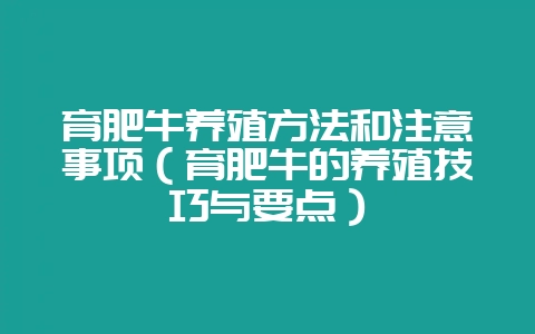育肥牛养殖方法和注意事项（育肥牛的养殖技巧与要点）-会东网
