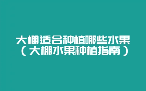 大棚适合种植哪些水果（大棚水果种植指南）-会东网