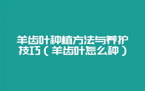 羊齿叶种植方法与养护技巧（羊齿叶怎么种）-会东网
