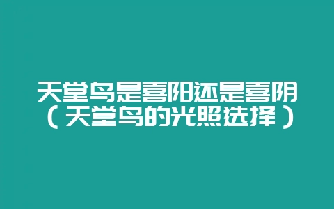 天堂鸟是喜阳还是喜阴（天堂鸟的光照选择）-会东网